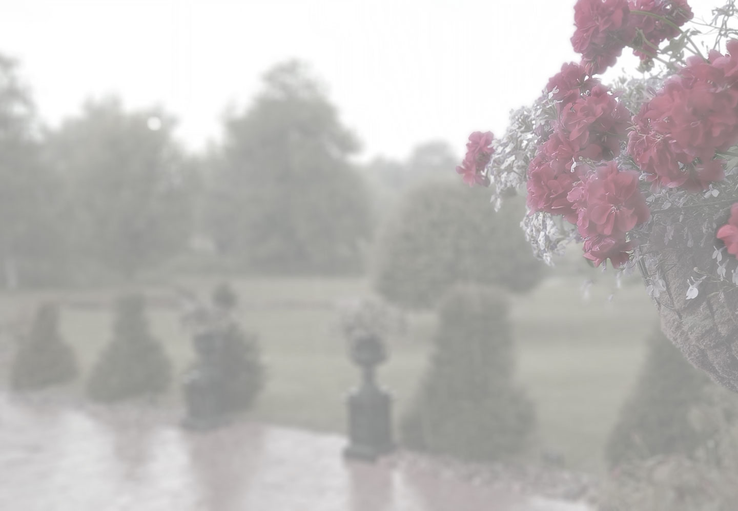 Blurred garden scene with lush hedges and red flowers, evoking a serene Berkshire garden.
