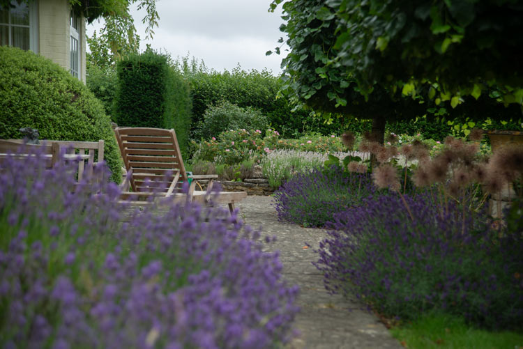 Tranquil garden featuring chairs, blooming lavender, and manicured hedges for a well-kept look