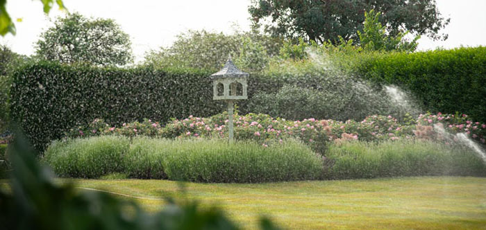 Sprinklers watering a lush lawn with pink rose shrubs and a decorative birdhouse, showcasing effective irrigation