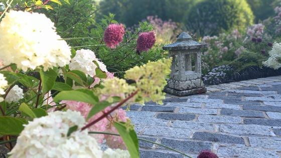 Ornamental stone lantern amid pink and white hydrangeas on a freshly paved garden path